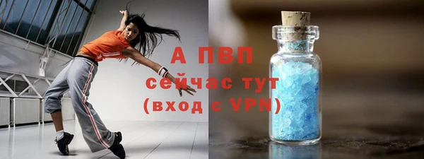 прущие грибы Абаза